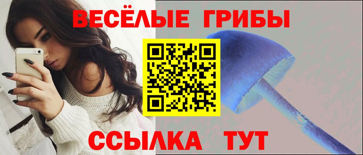 Галлюциногенные грибы прущие грибы  закладка  Новочеркасск  Вход с VPN  Галлюциногенные грибы мухоморы 